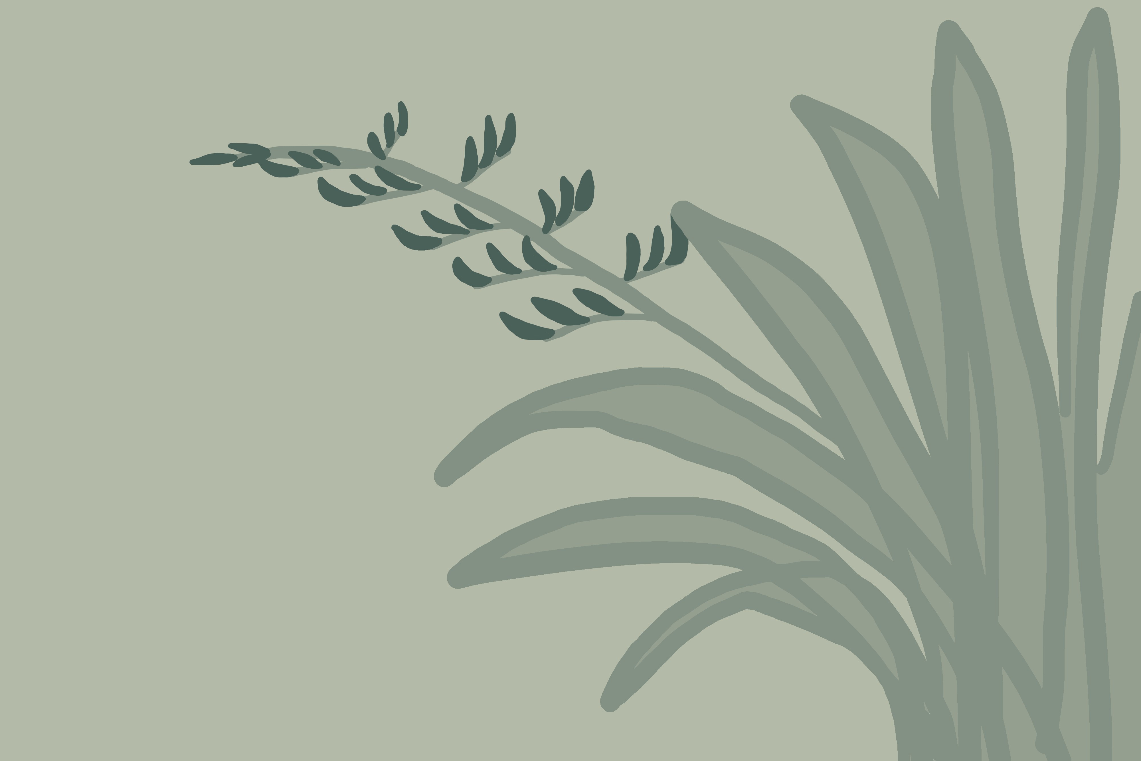 simple drawing of a flax plant